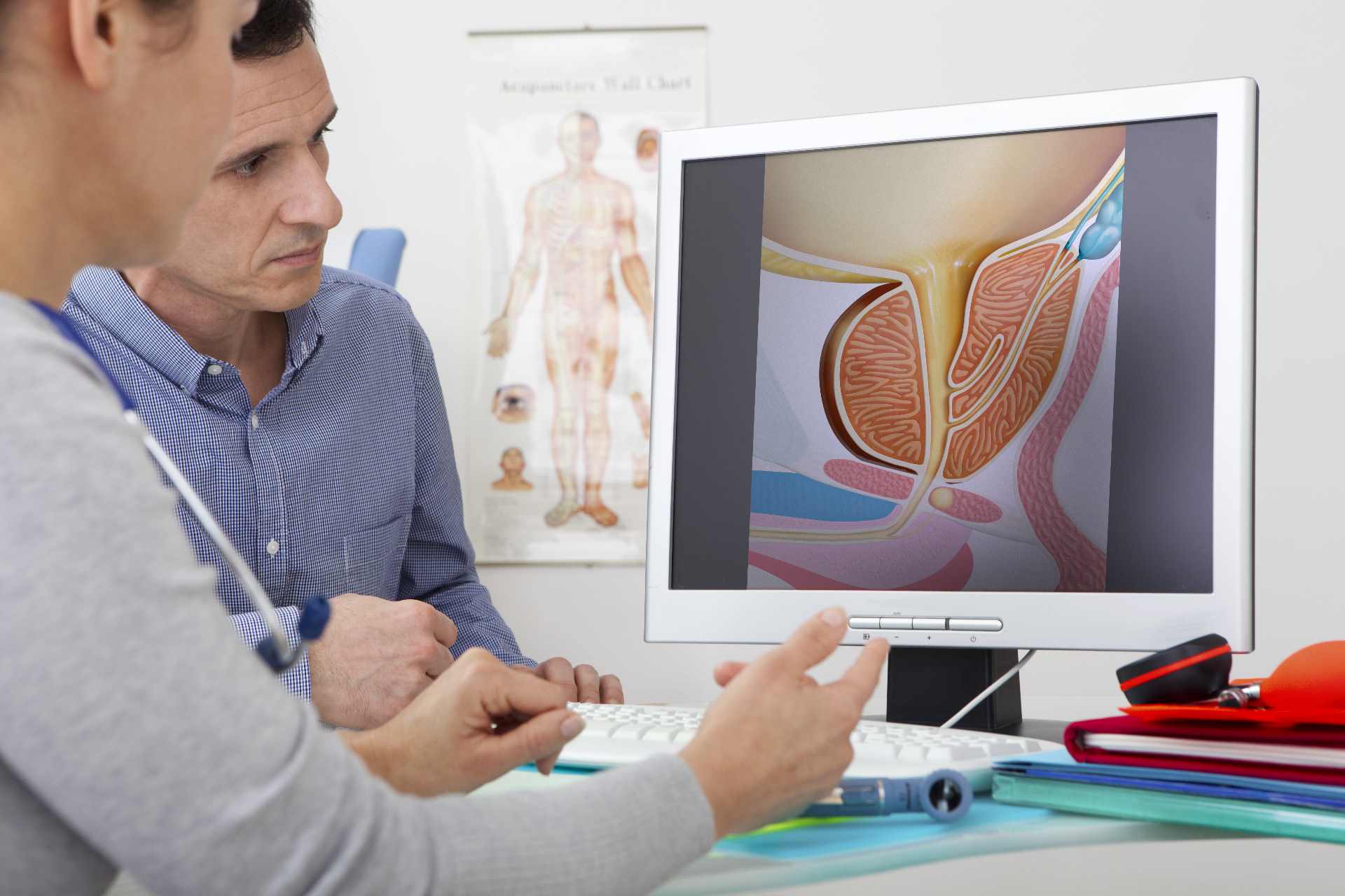Co je to Urologie