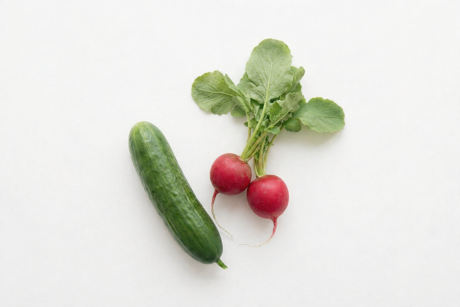 Erektilní dysfunkce: Komplexní průvodce léčbou a prevencí